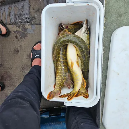 Idaraugu Puhkemaja Saaremaa Pohjarannikul *