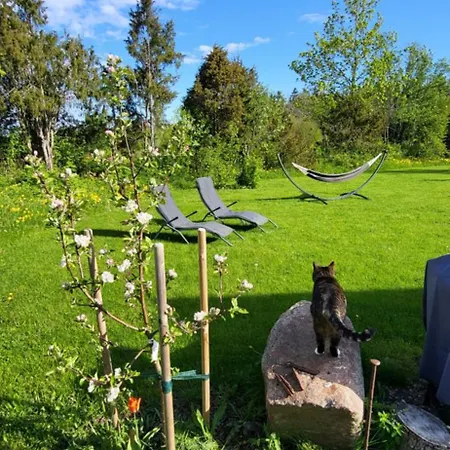 Idaraugu Puhkemaja Saaremaa Pohjarannikul 度假居 *