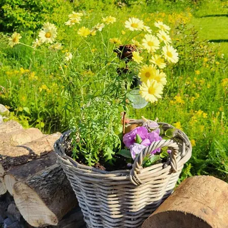 Idaraugu Puhkemaja Saaremaa Pohjarannikul 別荘
