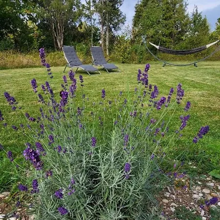 Idaraugu Puhkemaja Saaremaa Pohjarannikul Raugu
