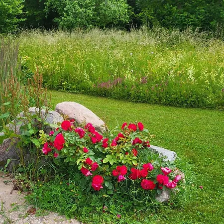 Idaraugu Puhkemaja Saaremaa Pohjarannikul 別荘