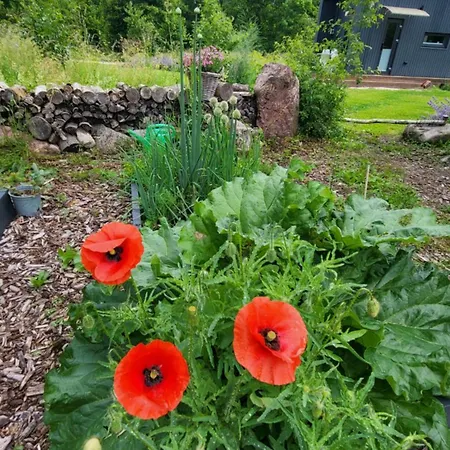 Puhkemaja Idaraugu Puhkemaja Saaremaa Pohjarannikul *