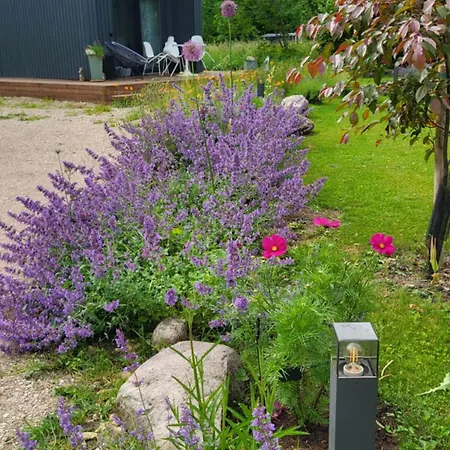 Idaraugu Puhkemaja Saaremaa Pohjarannikul *