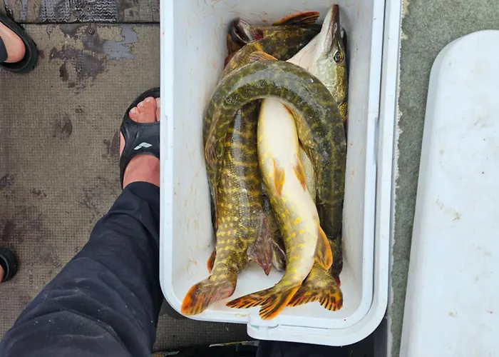 Idaraugu Puhkemaja Saaremaa Pohjarannikul *