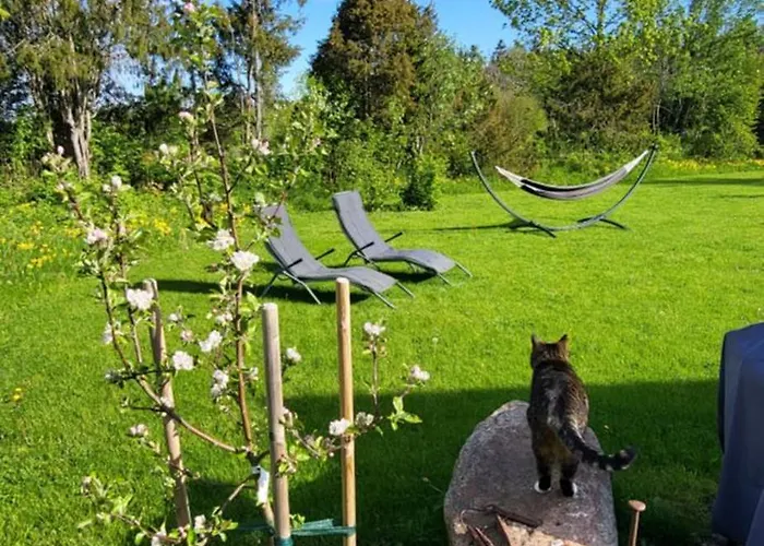 Idaraugu Puhkemaja Saaremaa Pohjarannikul Ferienhaus *