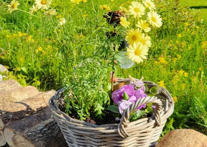 Idaraugu Puhkemaja Saaremaa Pohjarannikul Σπίτι διακοπών